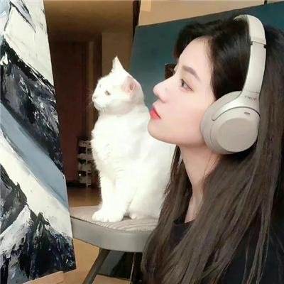 整形师·脸